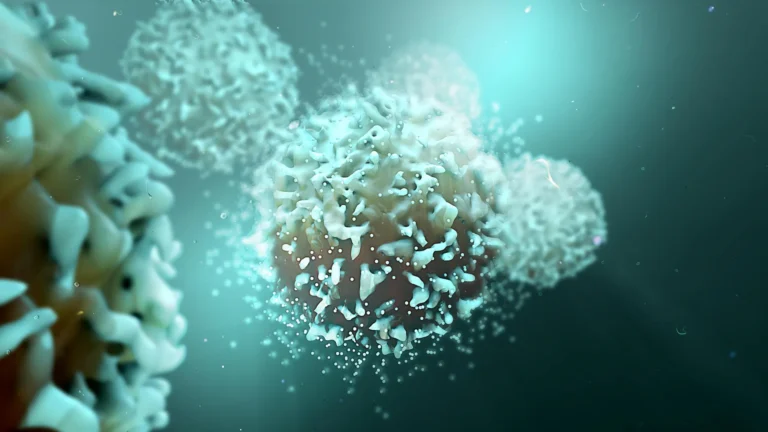 Blocking one protein supercharges the immune system against cancer