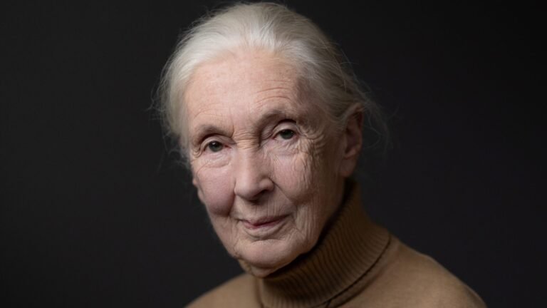 Jane Goodall Cause of Death: Legendary Conservationist Was 91
