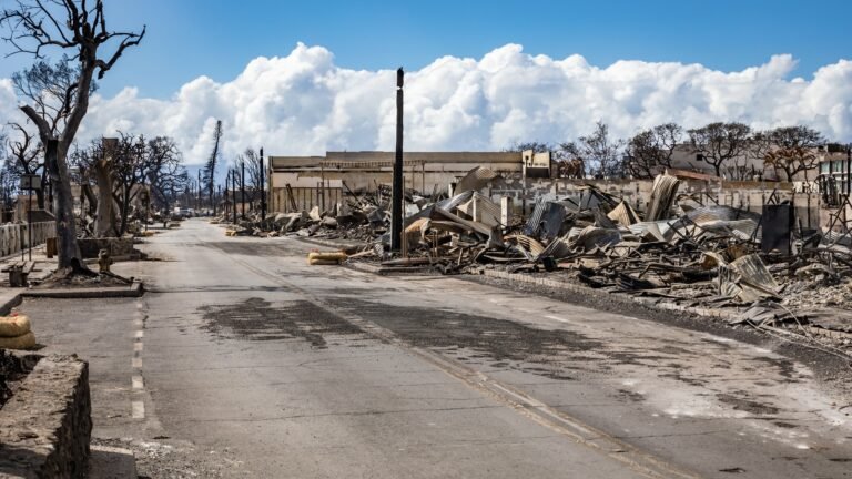 Lahaina, Hawaii, rebuilds slowly after deadly fire » Yale Climate Connections