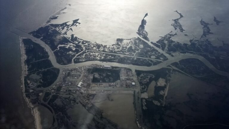 Marsh restoration project helps protect Louisiana highway from flooding » Yale Climate Connections