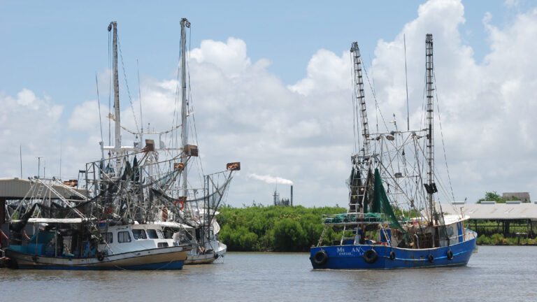 On Louisiana’s Gulf Coast, residents fume as insurers hike rates and invest in fossil fuel projects » Yale Climate Connections