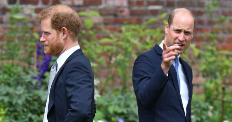 Prince William Makes Rare Comment About Brother Prince Harry 