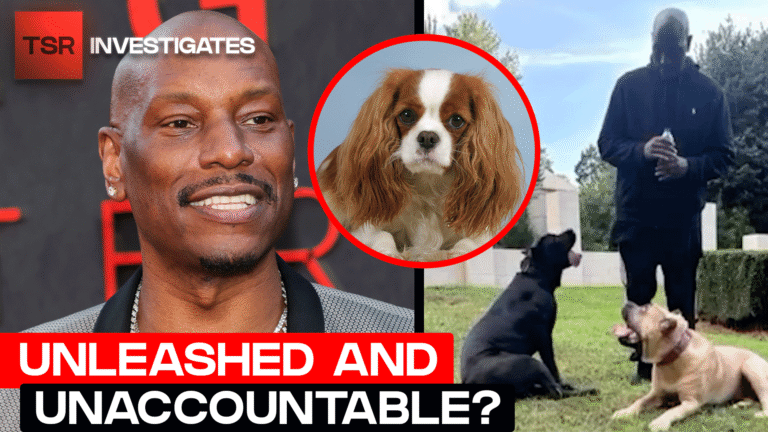 Facing Charges After Dog Attack in Atlanta