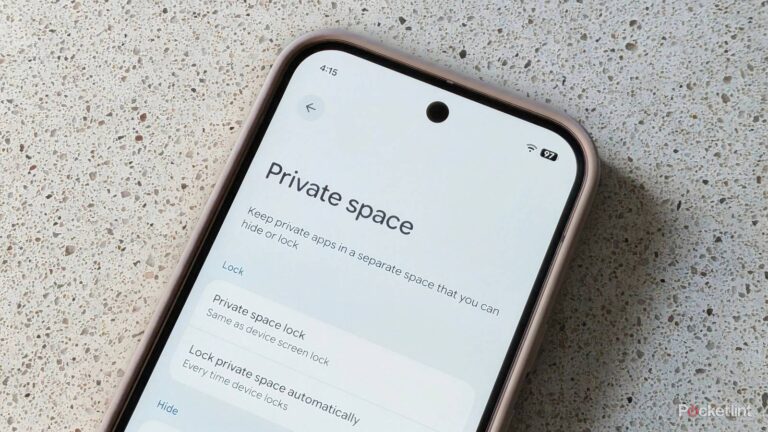 This secret Pixel feature helps keep my data secure