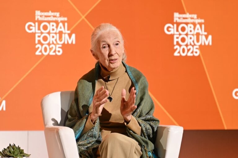 Jane Goodall, Conservationist Who Transformed Our Understanding of Chimpanzees, Dies at 91