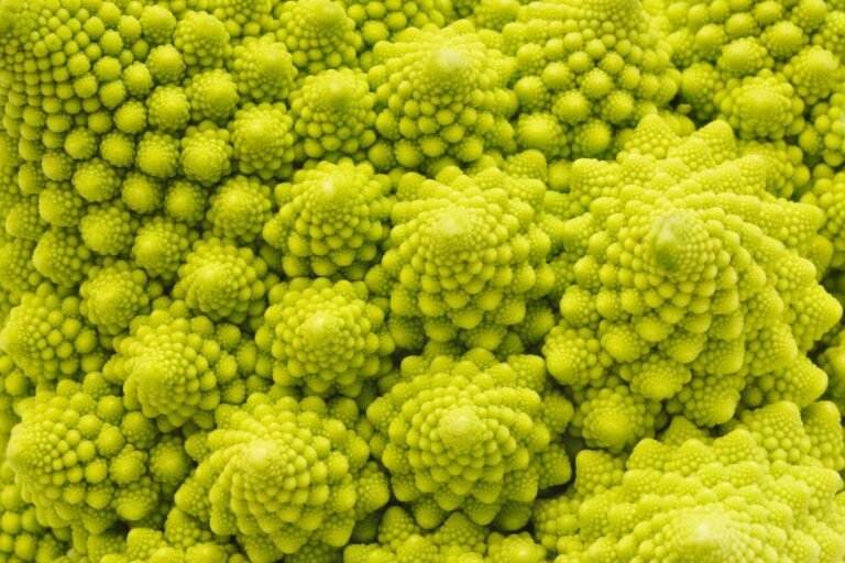 Mathematicians Discover Prime Number Pattern in Fractal Chaos