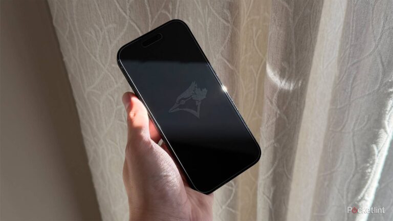 This screen protector’s disappearing act is impressive, but not perfect