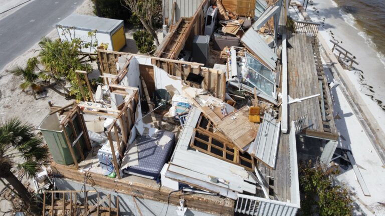 The McKenzie Project helps trans Floridians weather storms » Yale Climate Connections