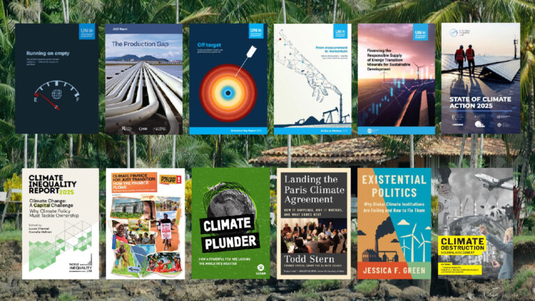 Must-reads to mark the start of COP30 in Belém, Brazil » Yale Climate Connections