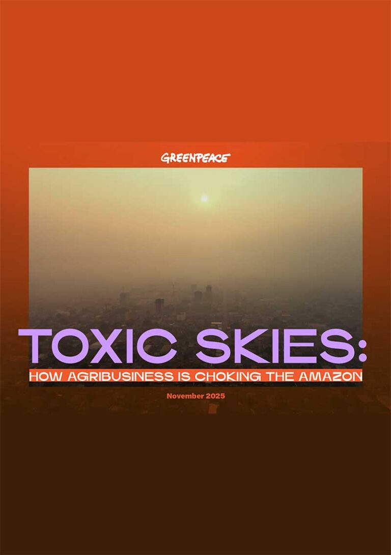 Report: Toxic Skies – How Agribusiness is Choking the Amazon