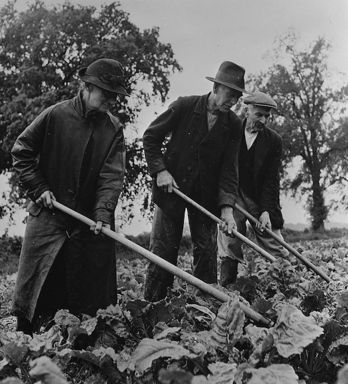 Ploughing Up Postwar Britain | History Today