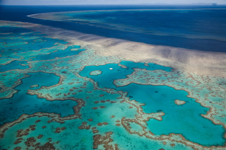 Leading scientists call for EPBC reforms to strengthen Great Barrier Reef protection