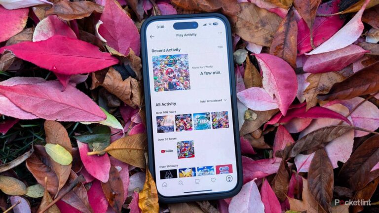 Nintendo just quietly released a fun way to revisit your 3DS and Wii U days