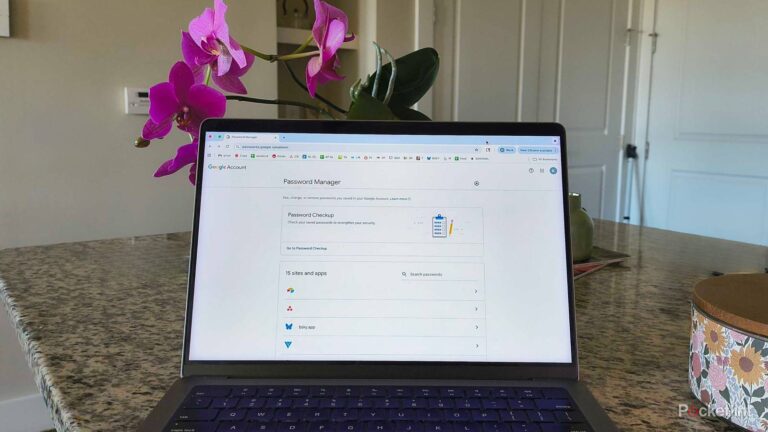 This is why I’m careful about saving passwords in my web browser