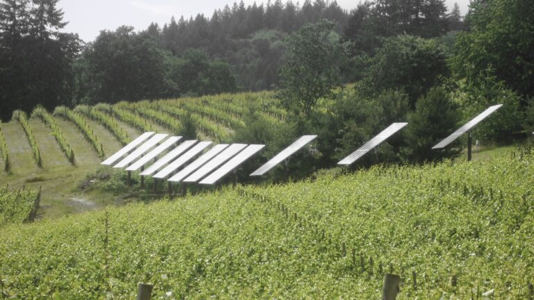 This vineyard now grows power, too » Yale Climate Connections