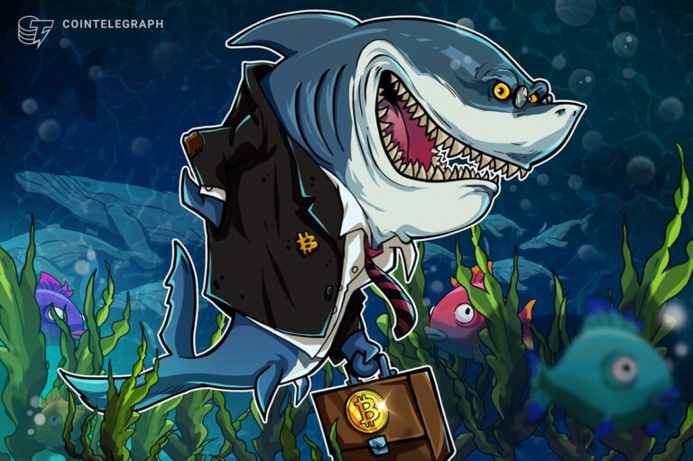 Bitcoin Sharks Accumulate Despite ‘Perfect Bull Trap’ Warnings