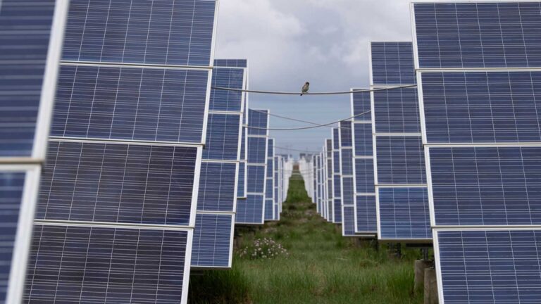 5 climate resources to get you up to speed for 2026 » Yale Climate Connections