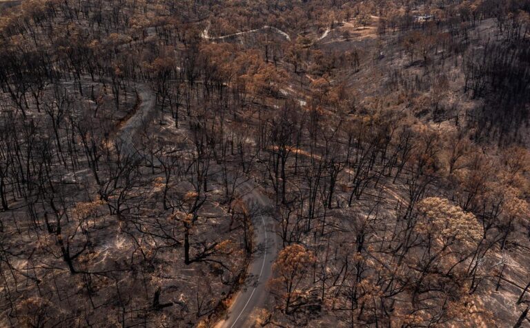 New images show bushfire devastation in Victoria as offshore gas drilling in the Otway Basin continues