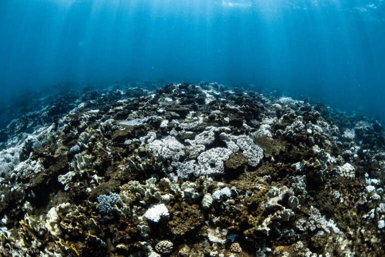 Gas is the problem, not the answer