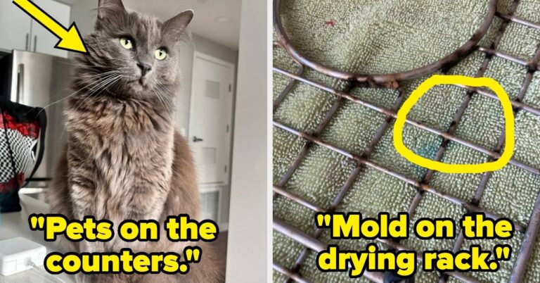 25 Red Flag Items People Saw In Another Person’s Home