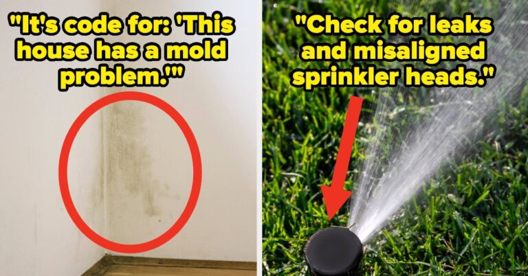 17 Home Inspection Red Flags Buyers Should Know