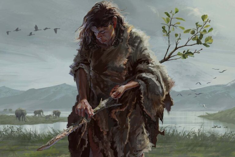 Stick shaped by ancient humans is the oldest known wooden tool