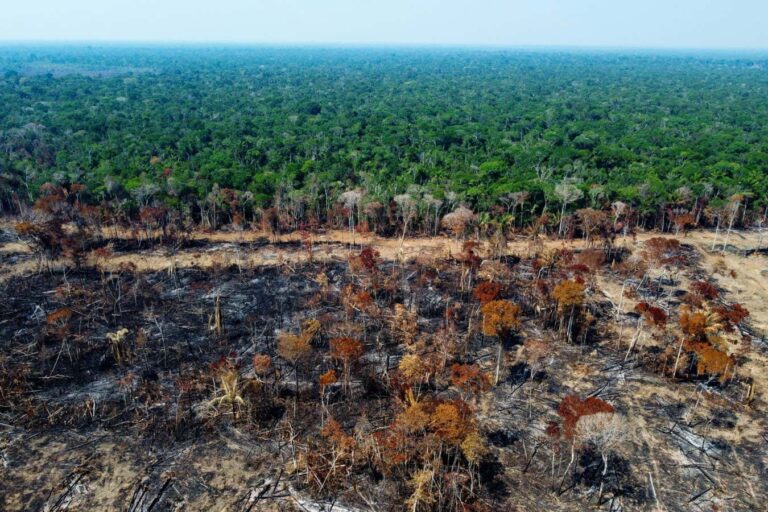 Amazon is getting drier as deforestation shuts down atmospheric rivers