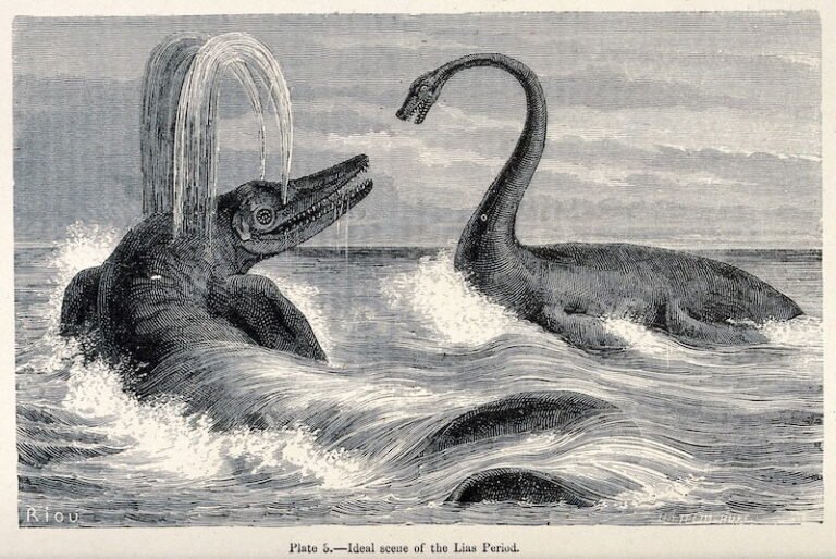 Did Sauropods Walk or Waddle?