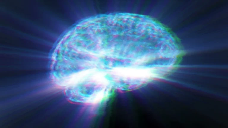 The fat you can’t see could be shrinking your brain