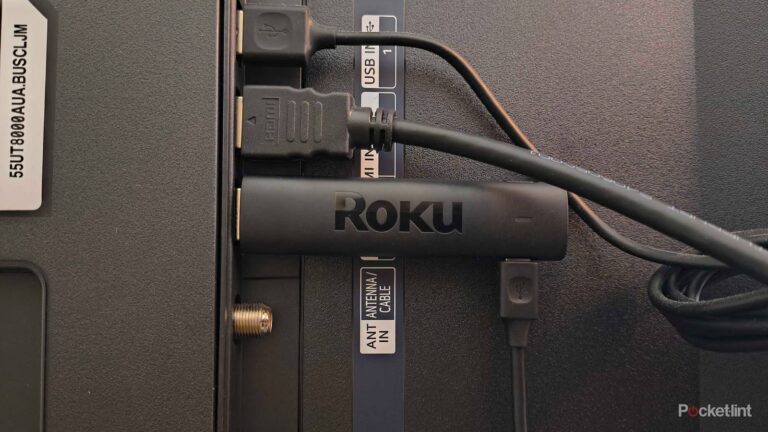 This is biggest mistake new Roku owners make