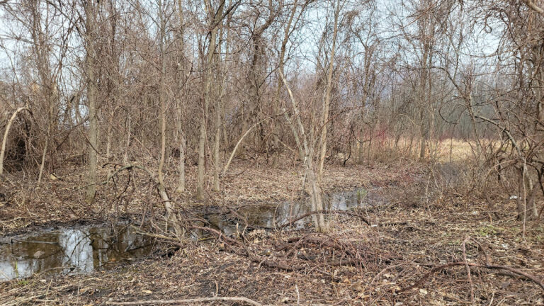 Wisconsin group finds flood solutions upstream » Yale Climate Connections