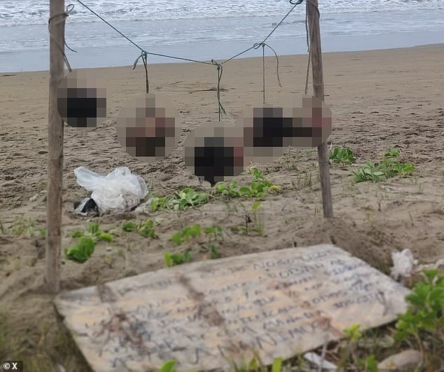 Eight severed human heads are found near a sign saying ‘no stealing’