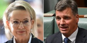 Liberal frontbenchers dropping like FLIES as embattled leader Sussan Ley is handed a major ultimatum