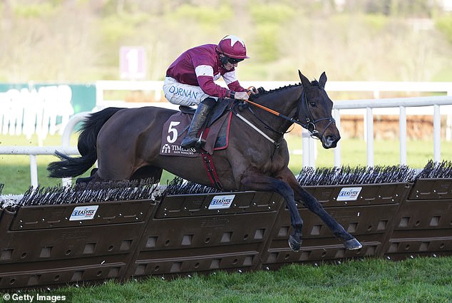 CALUM McCLURKIN: This year’s Champion Hurdle is all about which horse punters trust the most