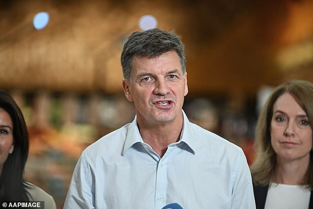 Secret list leaks of THIRTEEN countries whose migrants would be banned from moving to Australia: Explosive Trump-style Liberal proposal emerges