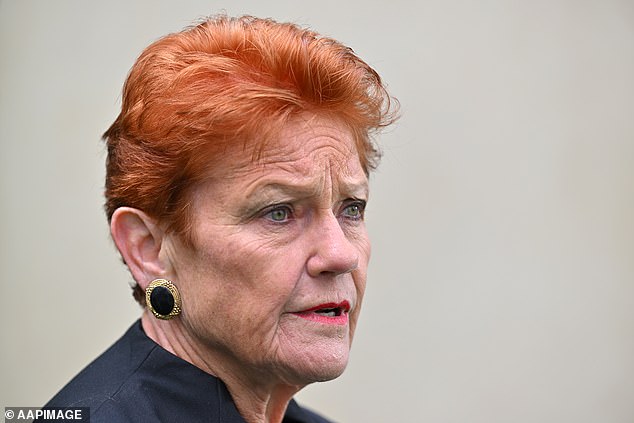 The Sydney suburb Pauline Hanson says ‘people can’t go to’ without feeling unsafe