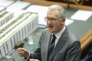 ISIS bride is BANNED from returning to Australia: Albanese government blocks attempt