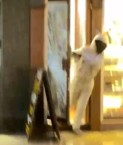 Moment armed robbers raid Hatton Garden jewellers ‘after posing as customers to breach security’ as capital’s smash-and-grab crimewave continues