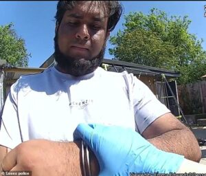 ‘Barbaric’ owner of nightmarish dog rescue centre where police found the bodies of 41 pets is jailed for five years