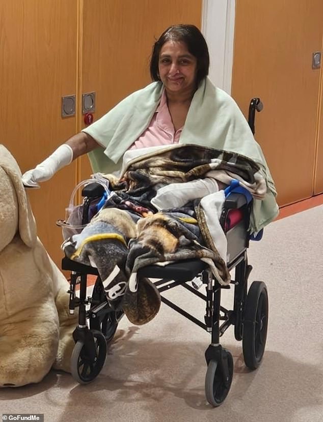 Woman loses all her limbs ‘after being licked by a dog’ in devastating case of sepsis that caused her heart to stop six times in intensive care