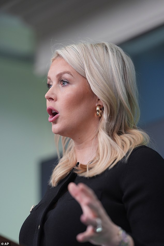 Furious Karoline Leavitt blames DEMOCRATS for Trump’s ‘third assassination attempt’