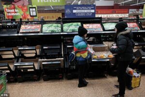‘Tinderbox’ Britain is ‘one shock away from food riots’ as experts warn empty shelves caused by cyber-attacks and extreme weather could lead to civil unrest