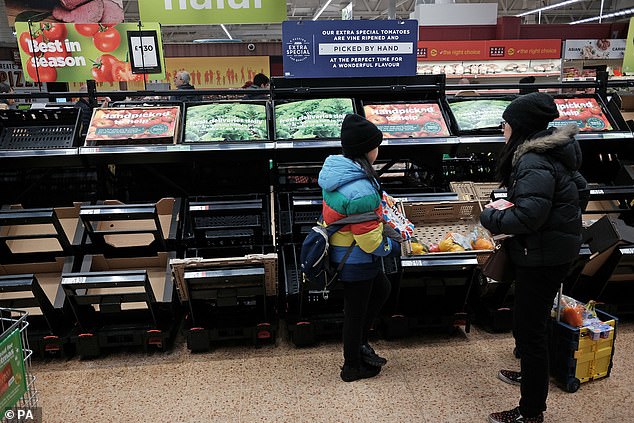 ‘Tinderbox’ Britain is ‘one shock away from food riots’ as experts warn empty shelves caused by cyber-attacks and extreme weather could lead to civil unrest