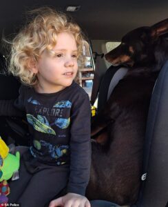 Heartbroken parents of missing Gus Lamont finally break their silence to beg for help – as new photos emerge of the adorable four-year-old