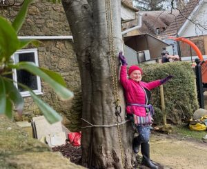 Moment pensioner, 73, ties herself to beloved 50ft tree to save it in row with neighbour at £800,000 home