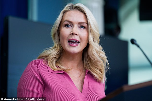 Karoline Leavitt gives perfect answer as she’s grilled on Iran ‘threat’