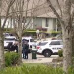 At least four people killed by knife-wielding maniac running through quaint waterfront Washington suburb