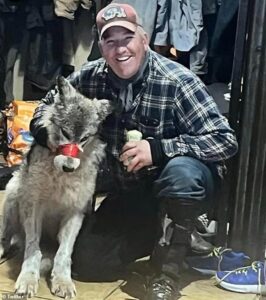 Wyoming man accused of torturing wolf and parading around his local bar with its mouth taped before killing the animal avoids jail time