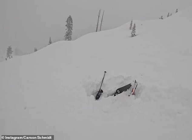 Heart-stopping moment skier is dug out from deep snow on Lake Tahoe one day after deadly avalanche
