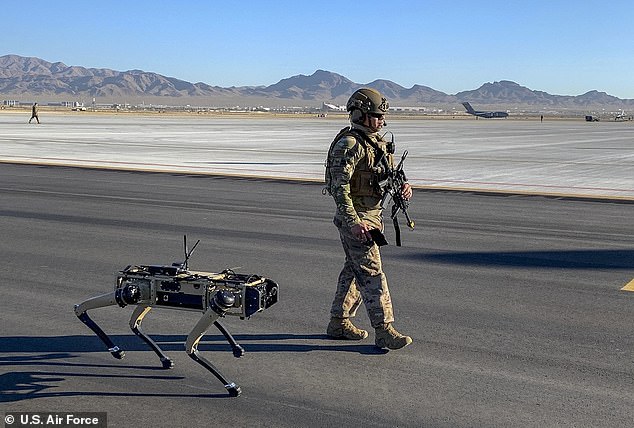 The dog days are over? Pentagon urged to replace military K-9s with robo-dogs after damning watchdog report exposes deplorable kennel conditions